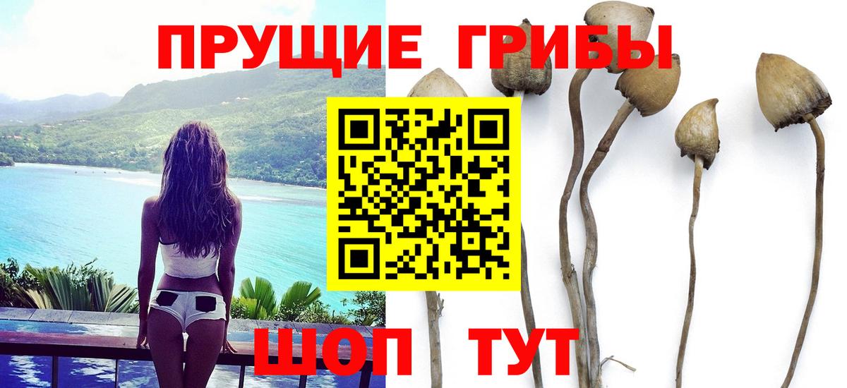 Галлюциногенные грибы мицелий Вичуга
